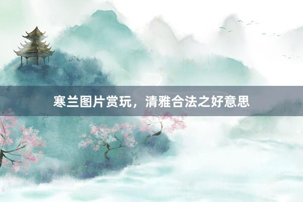 寒兰图片赏玩，清雅合法之好意思