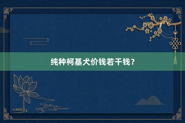 纯种柯基犬价钱若干钱？
