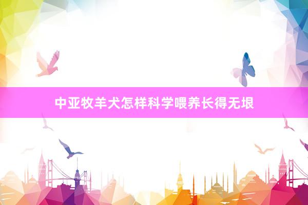 中亚牧羊犬怎样科学喂养长得无垠